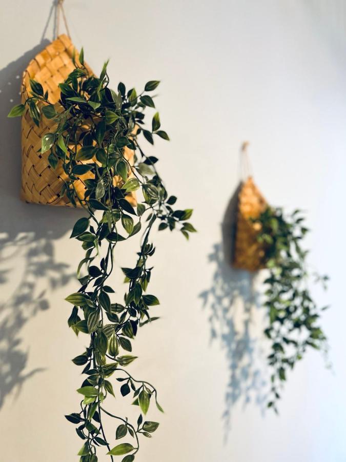 Top Apartman 松博尔 外观 照片